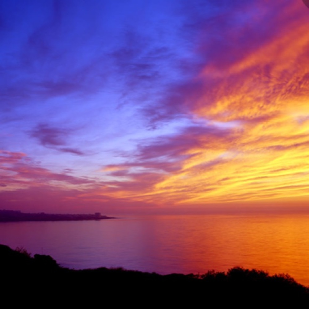 Meet your Posher, Elise